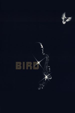 Bird's poster