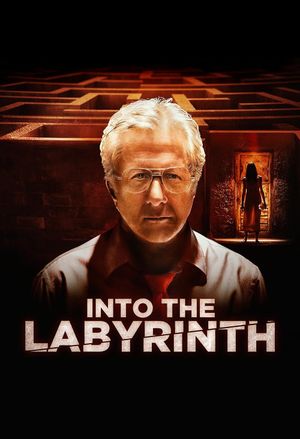 Into the Labyrinth's poster