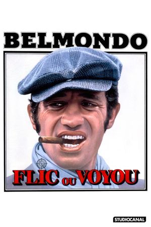 Cop or Hood's poster