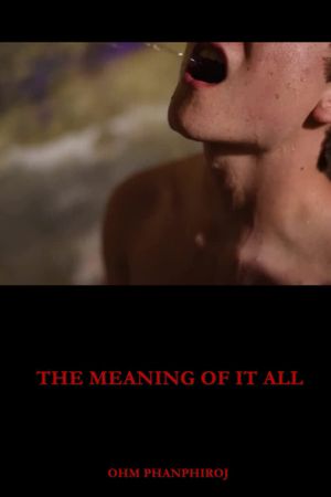 The Meaning of It All's poster image