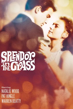 Splendor in the Grass's poster