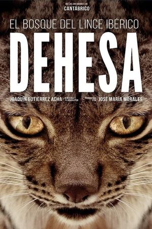 Dehesa - Forest of the Iberian Lynx's poster