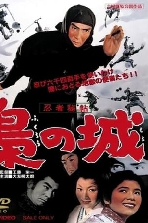 Castle of Owls's poster