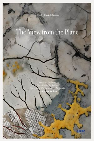 The View from the Plane's poster