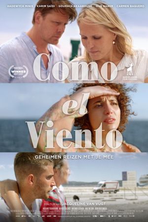 Como el viento's poster