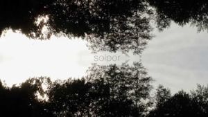 Solpor (C)'s poster