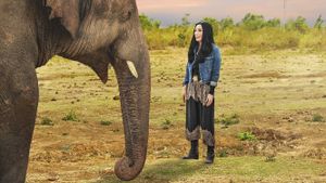 Cher & the Loneliest Elephant's poster