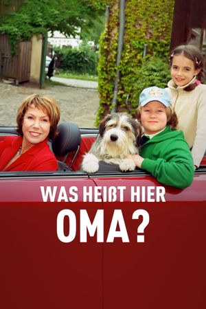 Was heißt hier Oma!'s poster