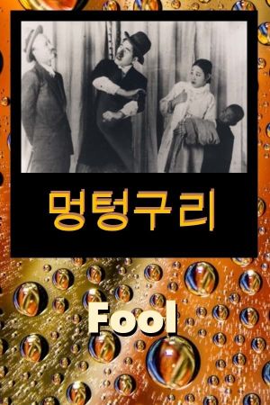 Fool's poster