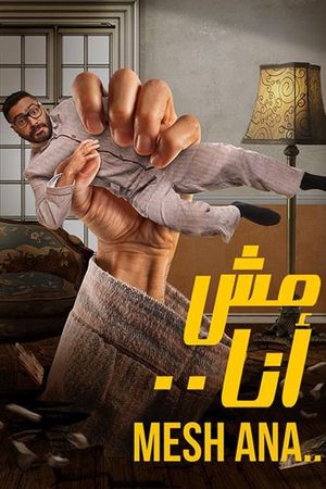 Not Me's poster