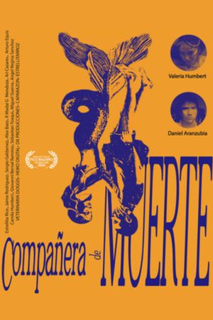 Death Partner's poster