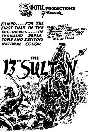 The 13th Sultan's poster