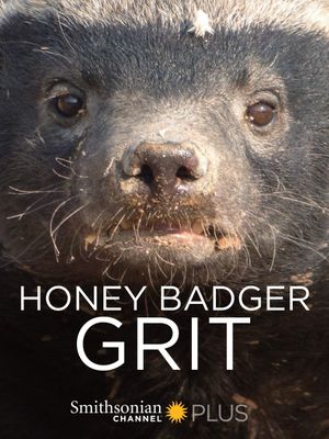 Honey Badger: Grit's poster