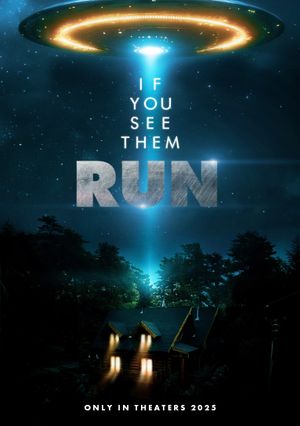 Run's poster image