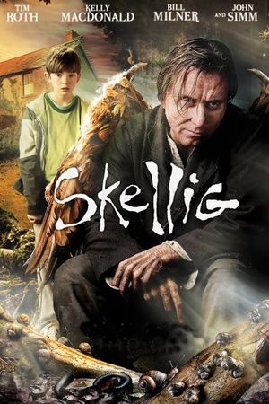 Skellig's poster