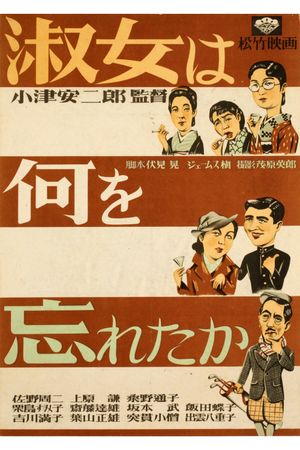 What Did the Lady Forget?'s poster