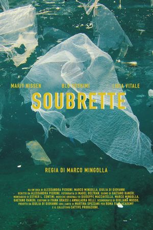 Soubrette's poster