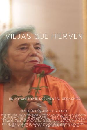Old women that boil's poster image