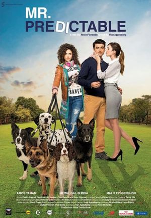 Mr Predictable's poster