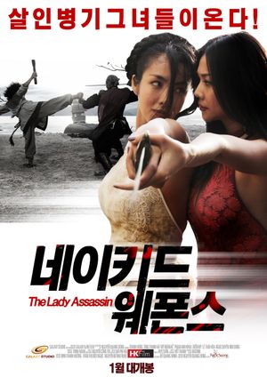 The Lady Assassin's poster