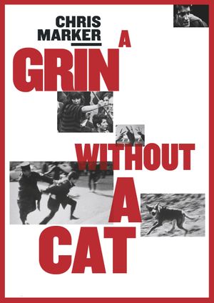 A Grin Without A Cat's poster
