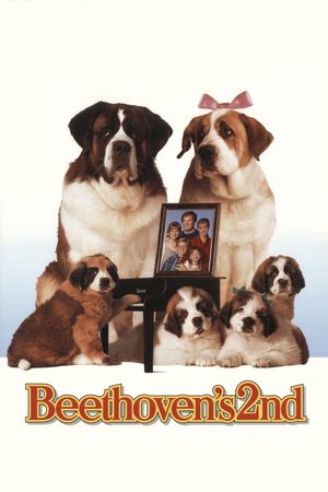Beethoven's 2nd's poster