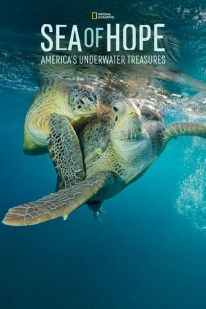 Sea of Hope: America's Underwater Treasures's poster