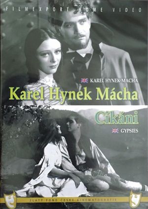 Cikáni's poster
