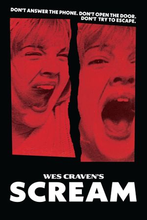 Scream's poster