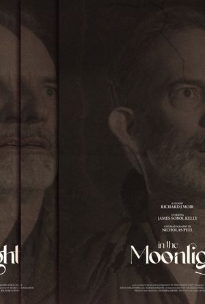 In The Moonlight's poster image