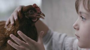 The Chicken's poster