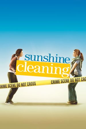 Sunshine Cleaning's poster