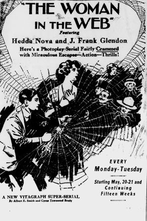 The Woman in the Web's poster