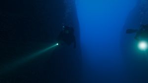 The Dive's poster