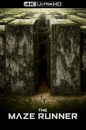 The Maze Runner's poster
