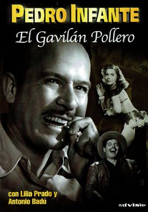 El gavilán pollero's poster
