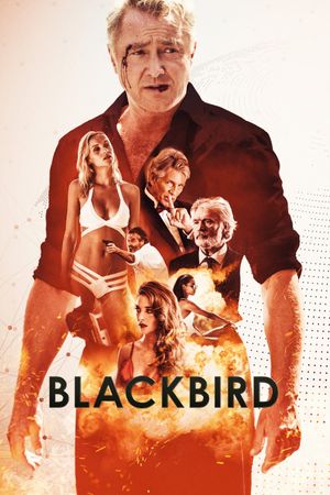 Blackbird's poster