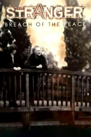 The Stranger: Breach of the Peace's poster