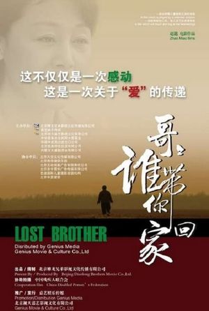 哥哥，谁带你回家's poster