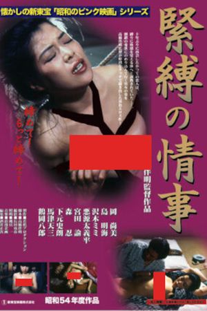 Affair with Bondage's poster