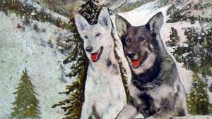A Hero of the Big Snows's poster