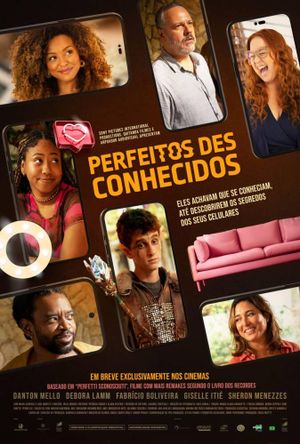 Perfeitos Desconhecidos's poster