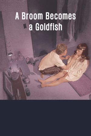 A Broom Becomes a Goldfish's poster
