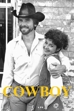 Cowboy's poster