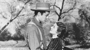 The Farmer Takes a Wife's poster