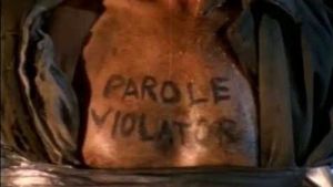 Parole Violators's poster
