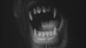 Werewolf in a Girls' Dormitory's poster