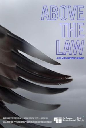 Above the Law's poster image