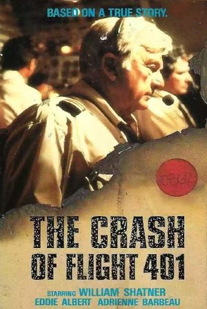 The Crash of Flight 401's poster