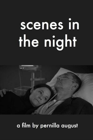 Scenes in the Night's poster
